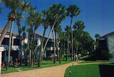 Venice Rental