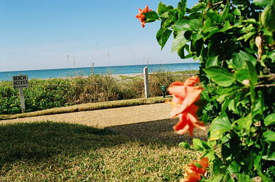 Beach Front Condo Rentals