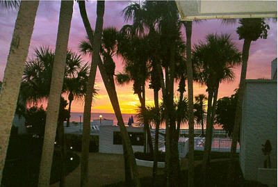 Venice Rental