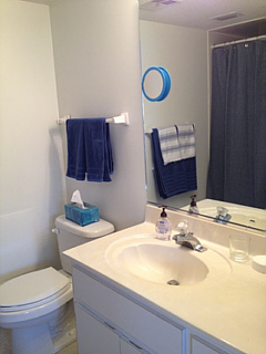 Condo Rentals Florida
