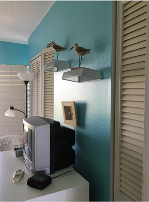Beach Front Condo Rentals