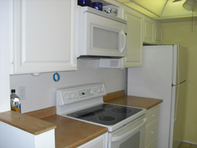 Beach Front Condo Rentals