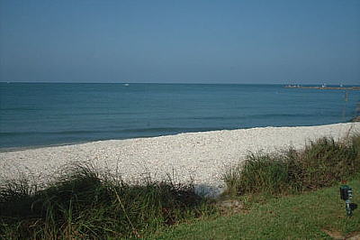 Beach Front Condo Rentals