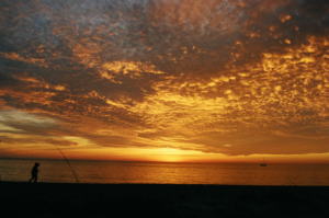 Beach Front Condo Rentals
