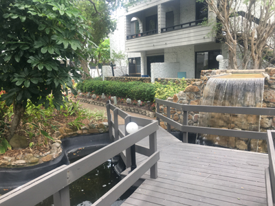 Beach Front Condo Rentals
