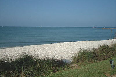Beach Front Condo Rentals