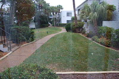 Florida Gulf Coast Condos