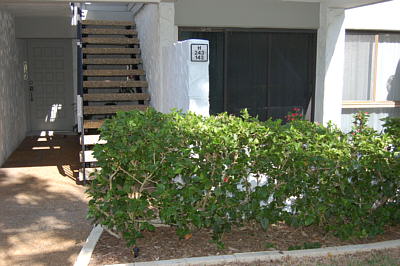 Venice Rental