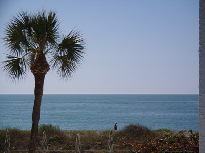 Gulf View Condo
