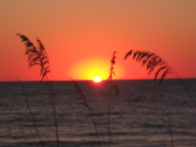 Gulf View Condo