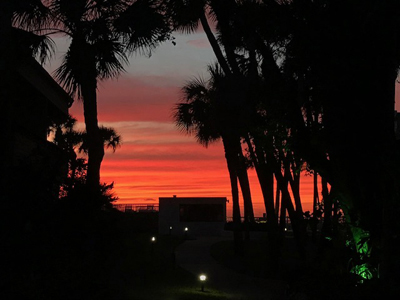 Florida Condos